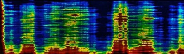 Dört bağımsız uydu operatörünün aynı yapıları gösteren aynı ham tomografi verilerini gönderdiğini söylendi.