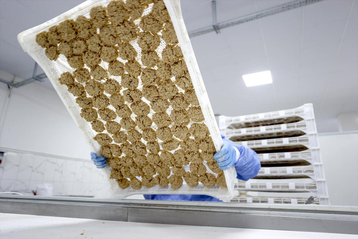 Tarhana üretim merkezi