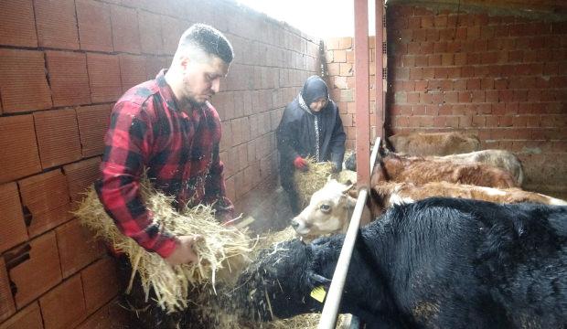 "Almanya'da robot olacağıma çoban olurum" diyerek memleketine döndü