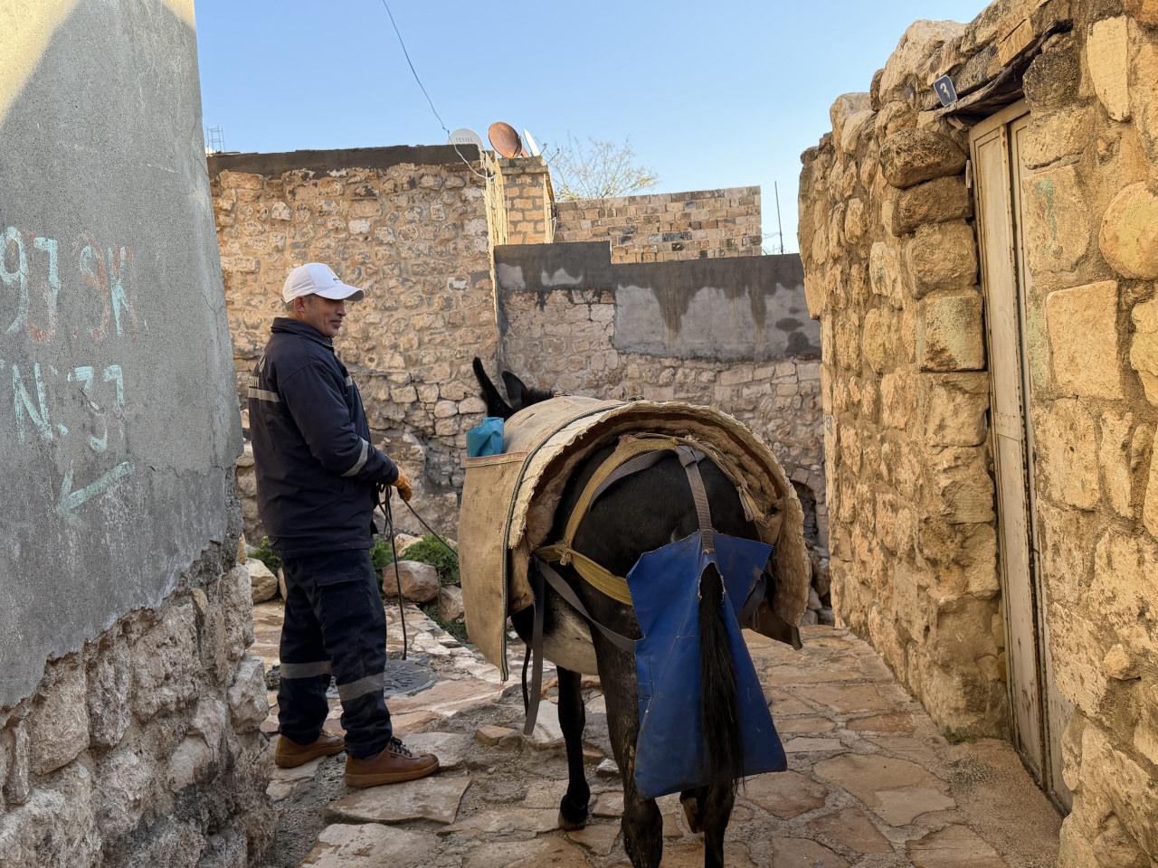 Mardin'in kadrolu eşekleri sokaklarda.
