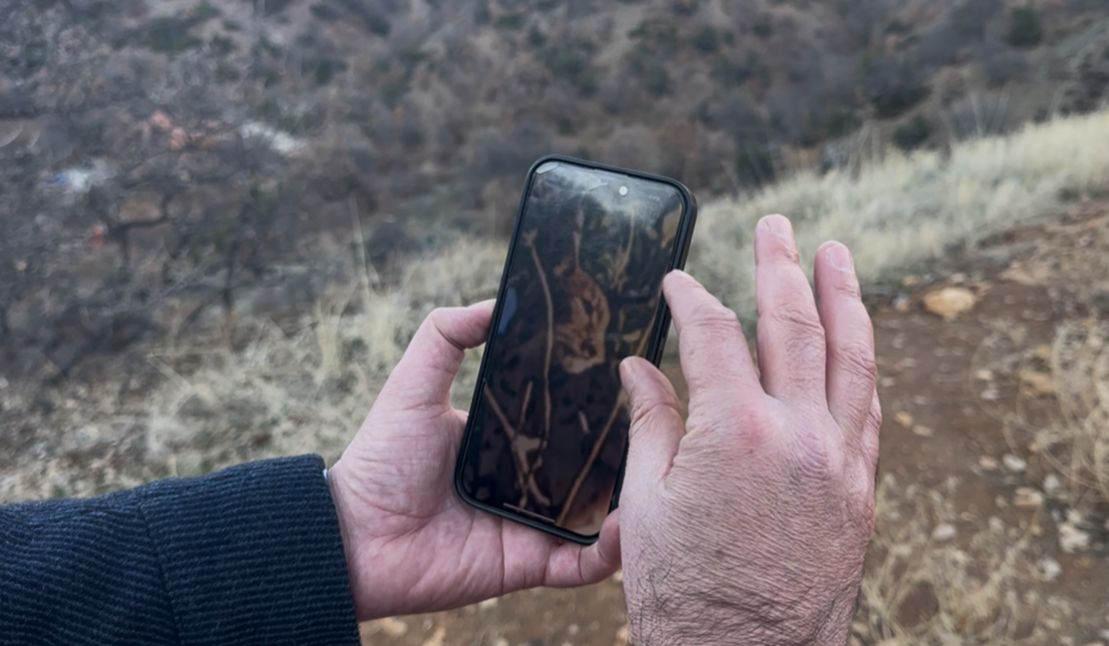 Anadolu parsı fotoğraflandı.