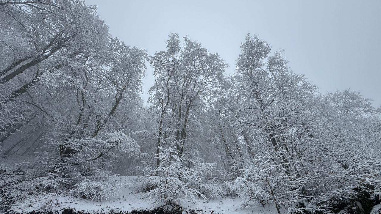 Tokat'ın yüksek kesimleri beyaza büründü.