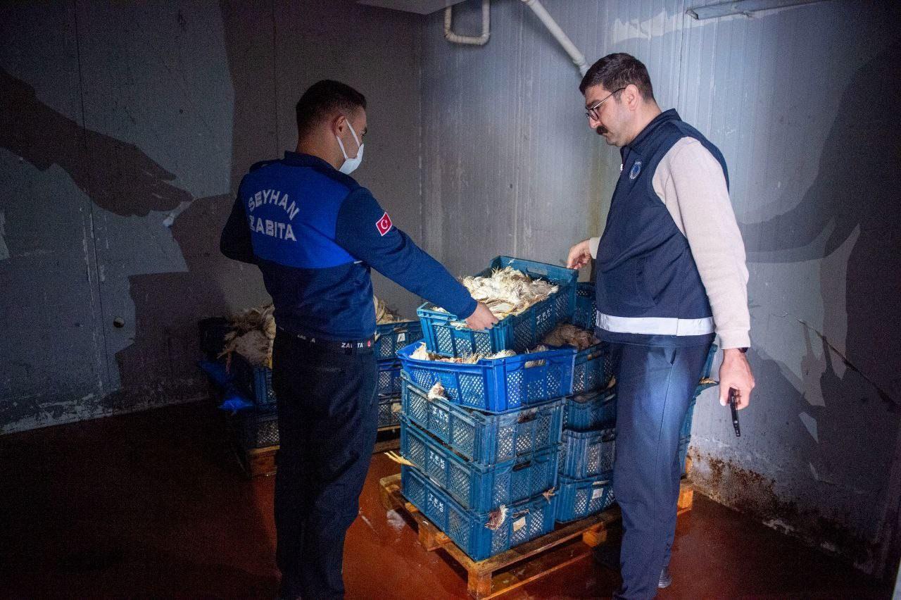 Ele geçirilen tavuklar