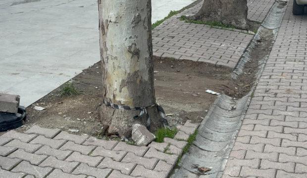  Çöp sanıp aldığı poşetten 60 bin dolar çıktı