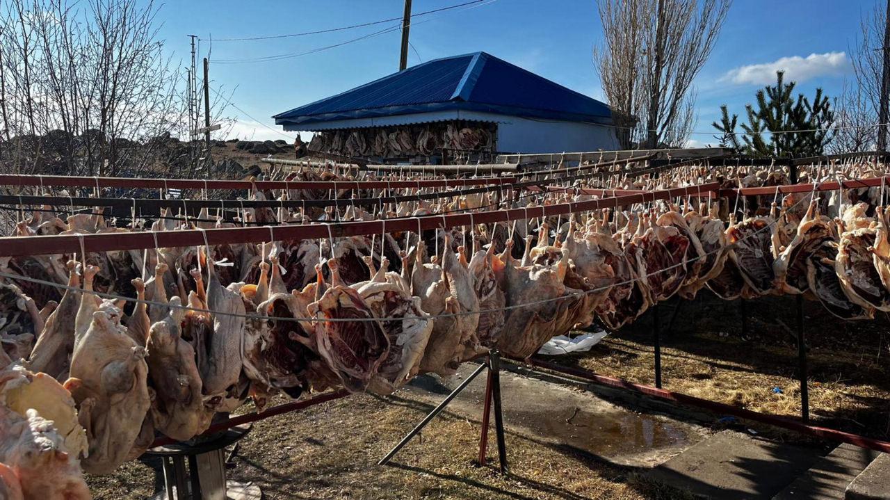 Kazlar 10 gün boyunca açık havada kurutuluyor.