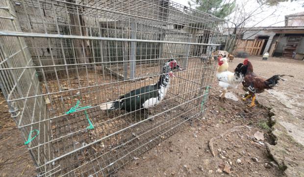 İstanbul'u bıraktı! Memleketinde paraya para demiyor