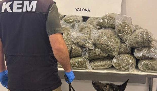 Limandaki TIR'da 23 milyon lira değerinde 37,7 kilo uyuşturucu ele geçirildi; 5 gözaltı