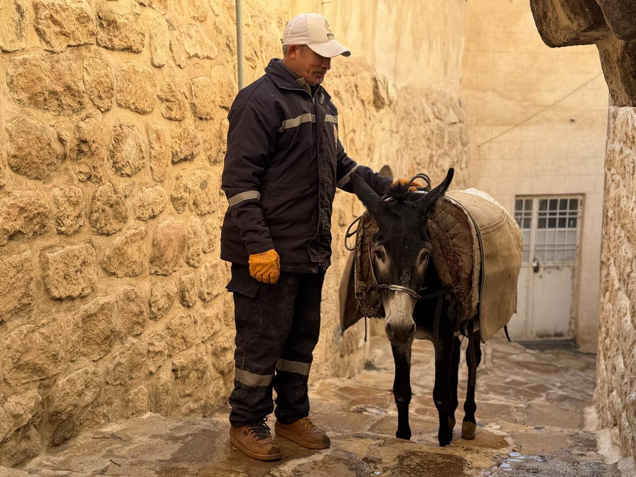 Mardin'in kadrolu eşekleri.