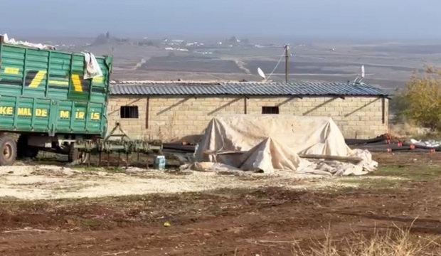 Pes dedirten düzenek: Kaçak elektrikle her ay bin çeyrek altın kazanmışlar!