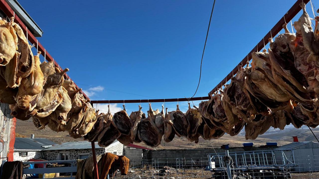 900 kaz kurutulmak üzere ipe dizildi.