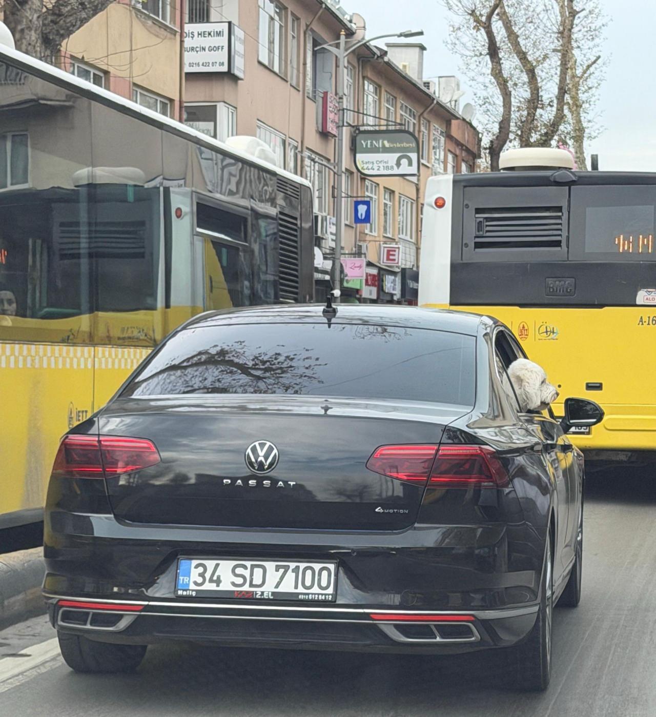 AK Partili Hilmi Türkmen, başkanlığı döneminde makam aracı olarak kullandığı Passat marka otomobilin, CHP'li belediye başkanının köpeğine özel olarak tahsis edildiğini, araçta köpeğin bakıcısının ve özel görevlisinin bulunduğunu ifade etti.