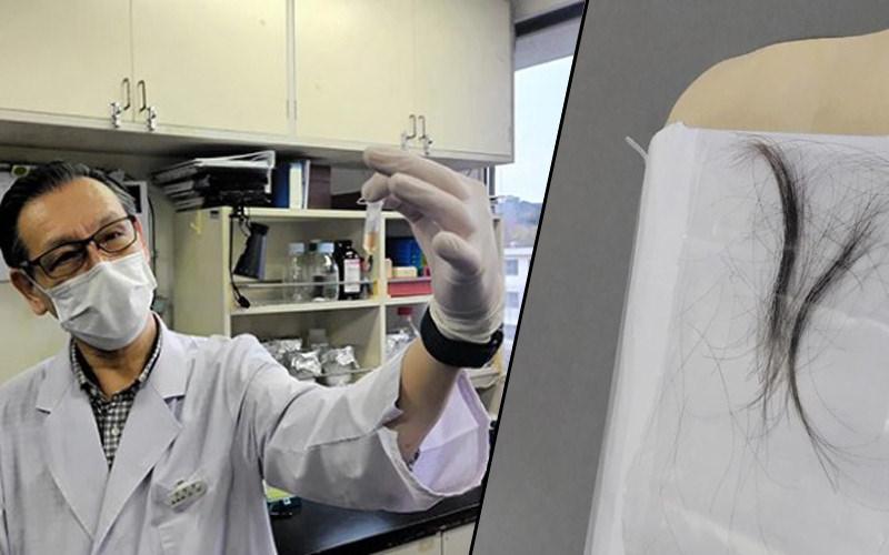 DNA incelemesi yapan Kanagawa Diş Hekimliği Üniversitesi uzmanı ve incelenen saç örnekleri (Kaynak: The Asahi Shimbun)