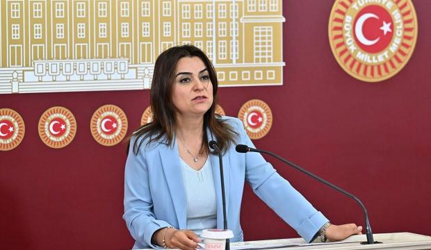 DEM'li Ko&ccedil;yiğit: "Silahların susması bir sonu&ccedil; değil, başlangı&ccedil;tır" 