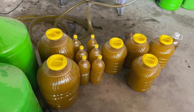 Kara meyveden altın sıvıya yolculuk: 6 kilodan 1 kilo &ccedil;ıkıyor