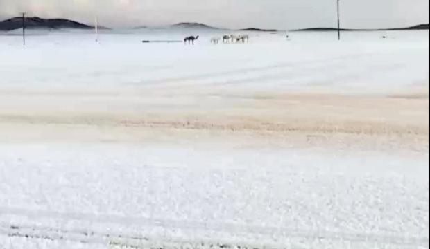 Suudi Arabistan&rsquo;ın y&uuml;ksek kesimlerinde yılın ilk karı yağdı