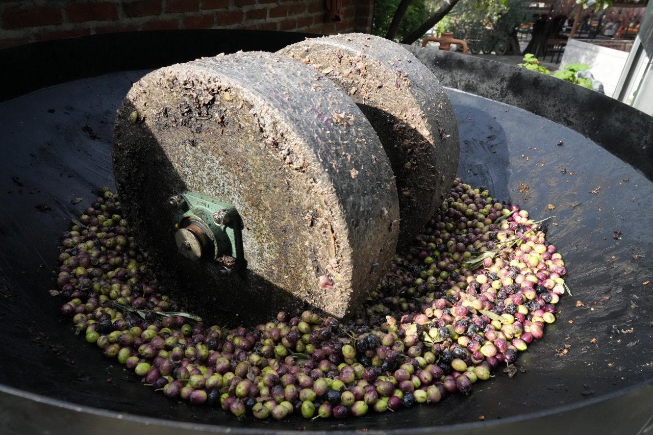 Çekirdeği ve yaprağıyla sıkılıyor