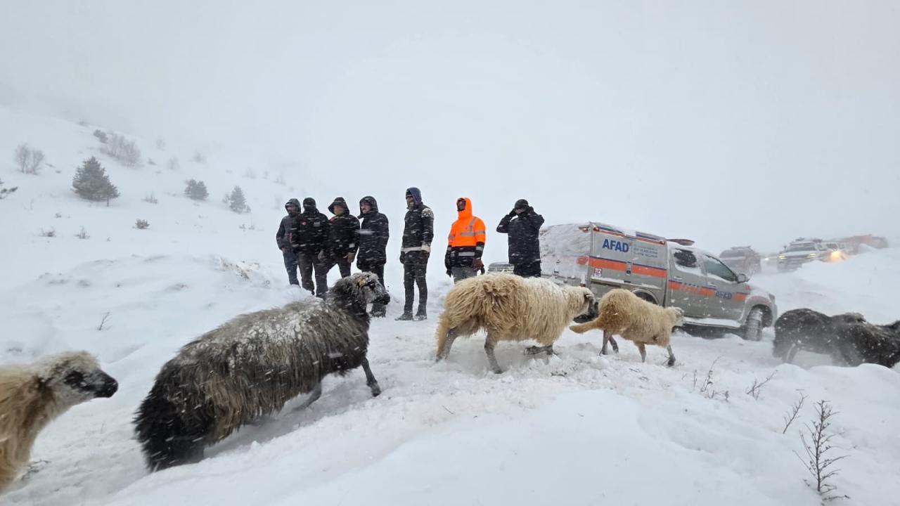 Arama kurtarmadan görüntü