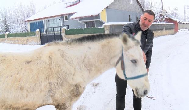 Muş'ta kışın &ouml;l&uuml;me terk edilen canlara sahip &ccedil;ıkıyor