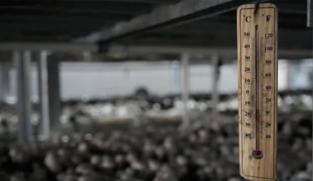 1 odada başladı, şimdi siparişlere yetişemiyor: 40 g&uuml;nde tam 3,5 ton!