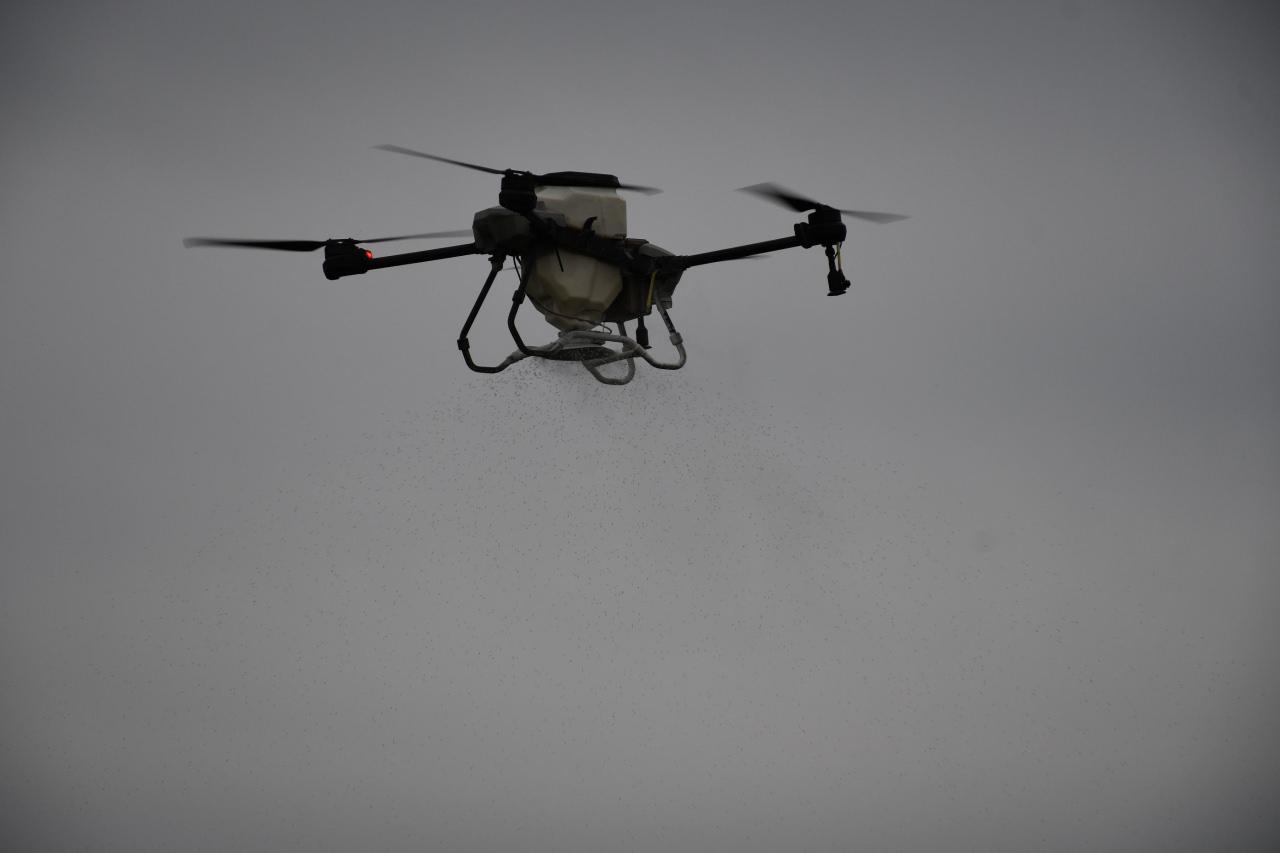 Dron ile ilaçlama yapıldı. 