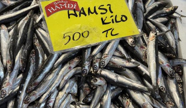 Balıkta yokluk senesi! Kilosu 250 TL&rsquo;den başlıyor