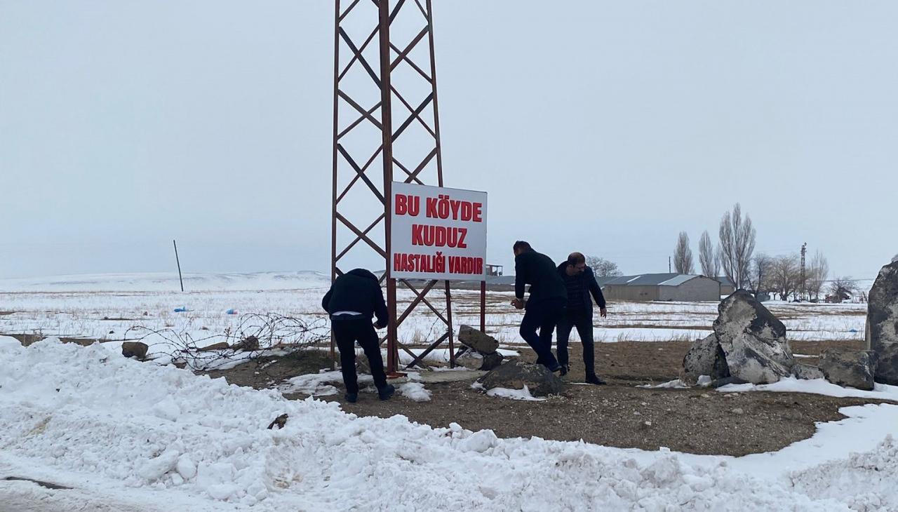 Adilcevaz'da yabani bir hayvanın ısırdığı köpeğin test sonucu pozitif çıkınca ekipler alarma geçti. Kömürlü köyü girişine uyarı tabelası asılırken, canlı hayvan giriş çıkışları tamamen durduruldu.
