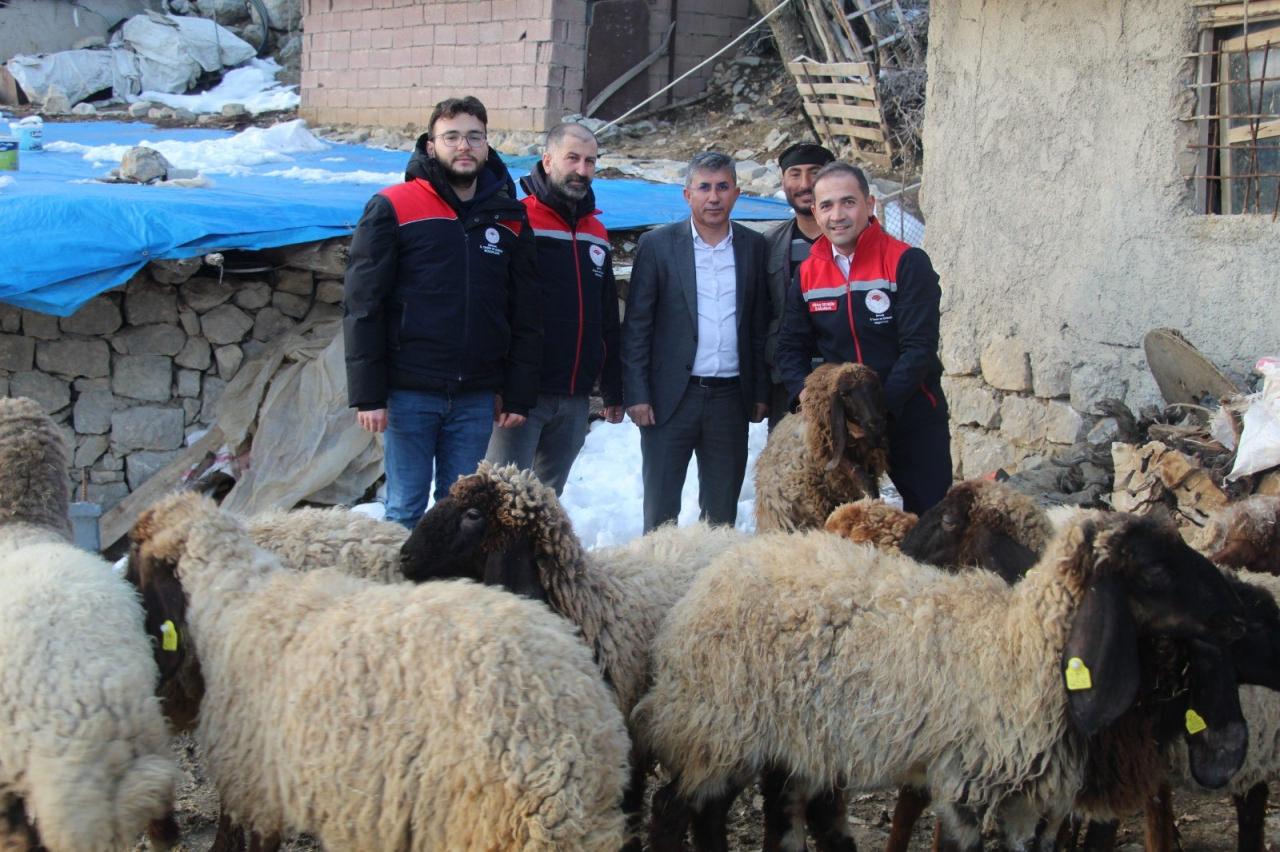 Koyunları vahşi hayvanlar tarafından telef edilen Hasan Ertak'a yeni koyunlar hibe edildi.