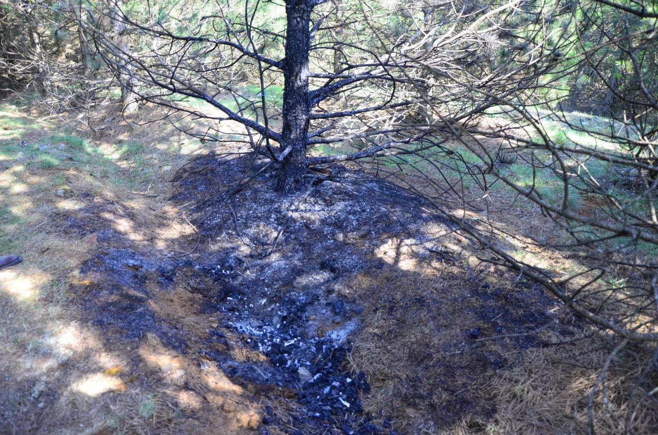 Deniz Oktay’ın (30) cesedi birer gün arayla yakıldı.