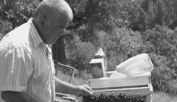 65 yaşındaki adamın feci &ouml;l&uuml;m&uuml;: Ağacın altında kaldı!