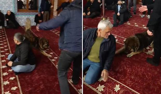 Cuma namazı &ouml;ncesi camiye giren k&ouml;pek şaşkına &ccedil;evirdi