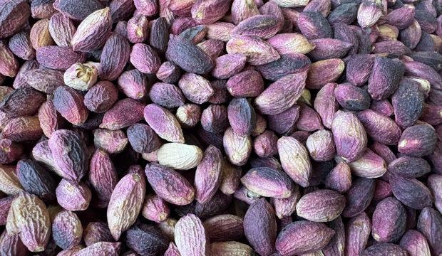 T&uuml;rkiye 94 &uuml;lkeye fıstık sattı, kasaya milyonlar girdi!