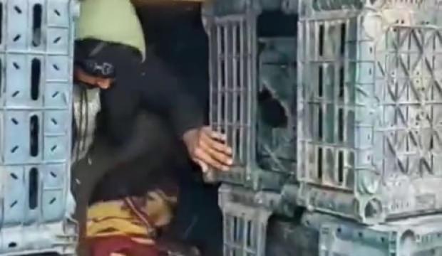 TIR'ın dorsesindeki kasaların arkasında 14 ka&ccedil;ak g&ouml;&ccedil;men yakalandı