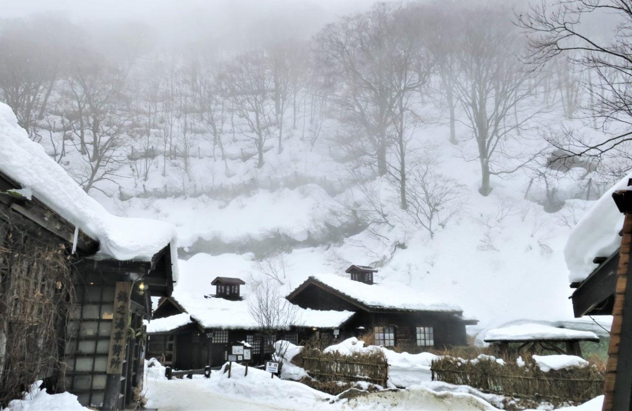 Japonya'da karlı bir gün