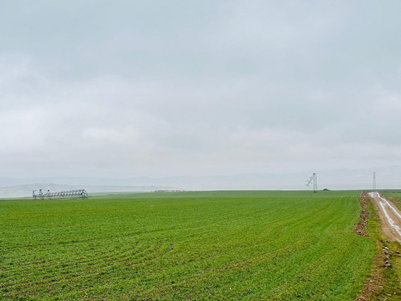 Orta gerilim direklerinin devrilmesi sonucunda ilçeye elektrik, alternatif besleme hatları ile sağlandı.