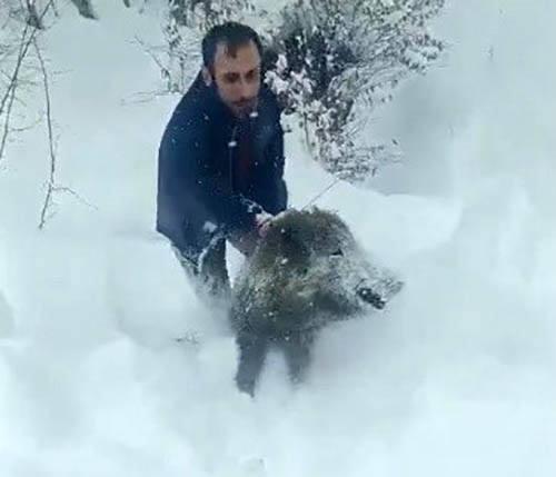 Şenel'in elleriyle domuz yakaladığı anlar.
