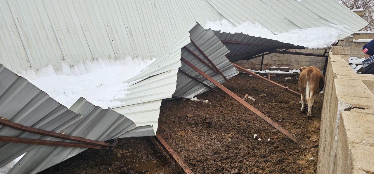 Çöken ahır kullanılamaz hale geldi.