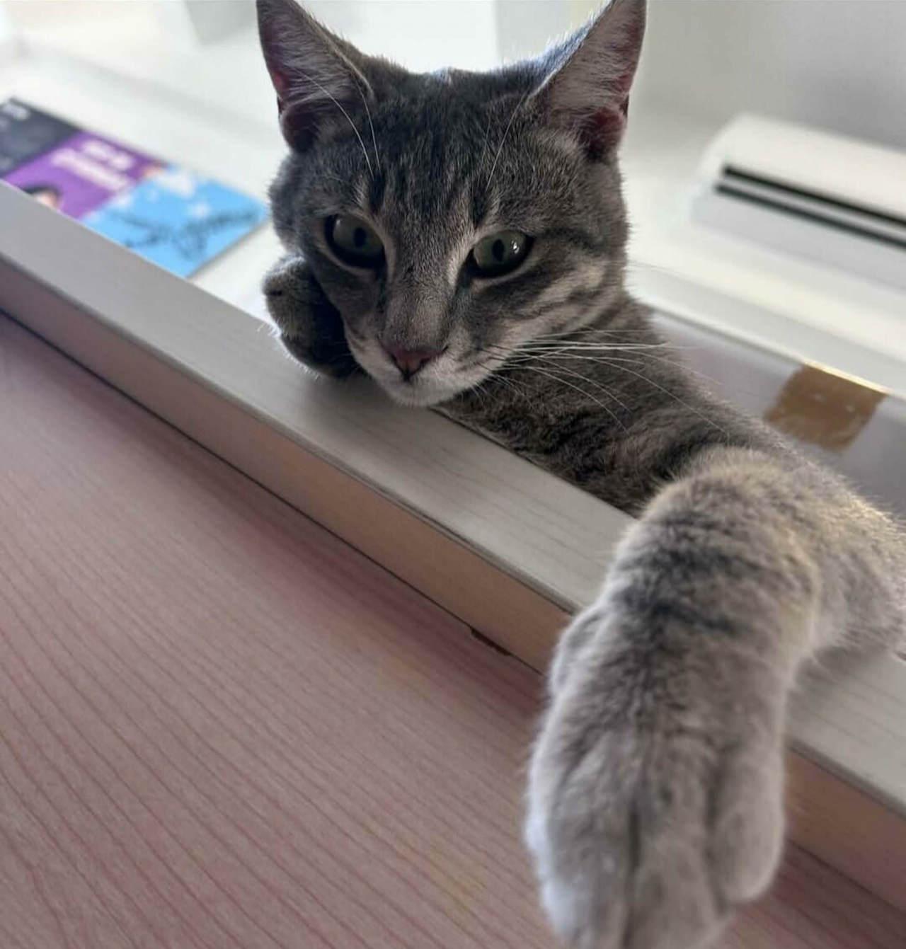 Öğrenciler tarafından bakılan 'Duman'