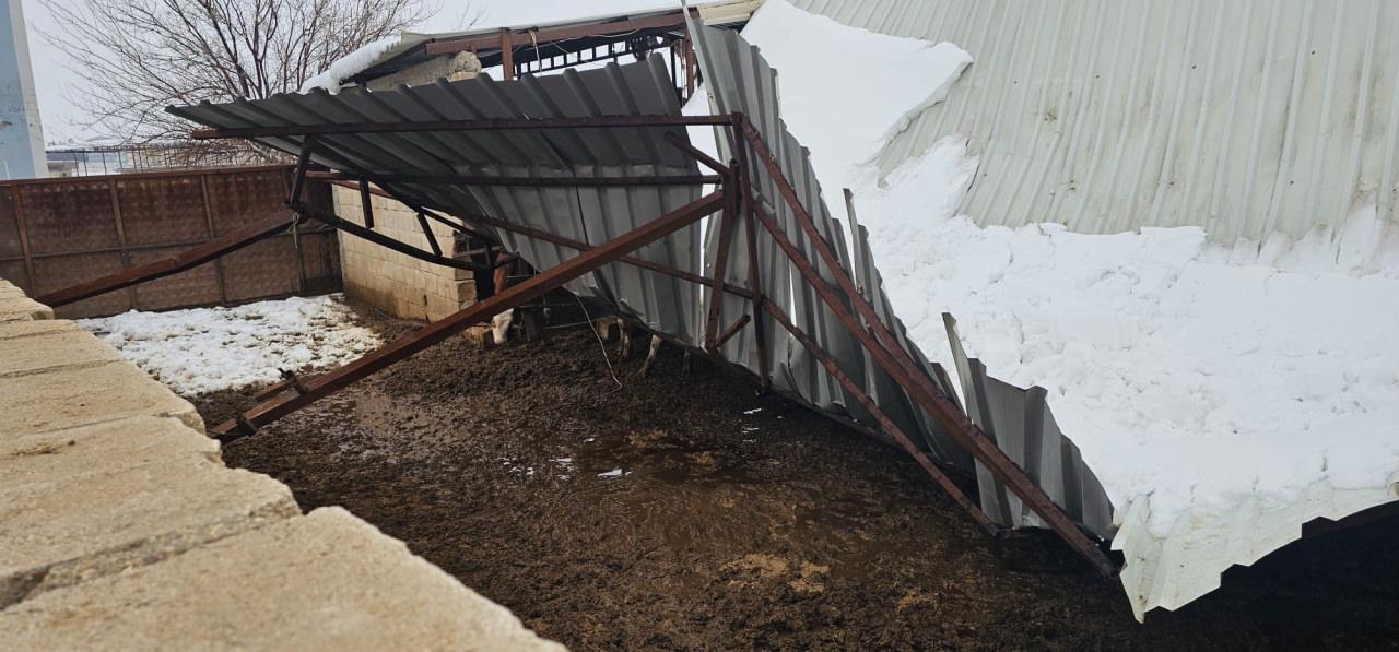 Gaziantep'te çöken ahır.