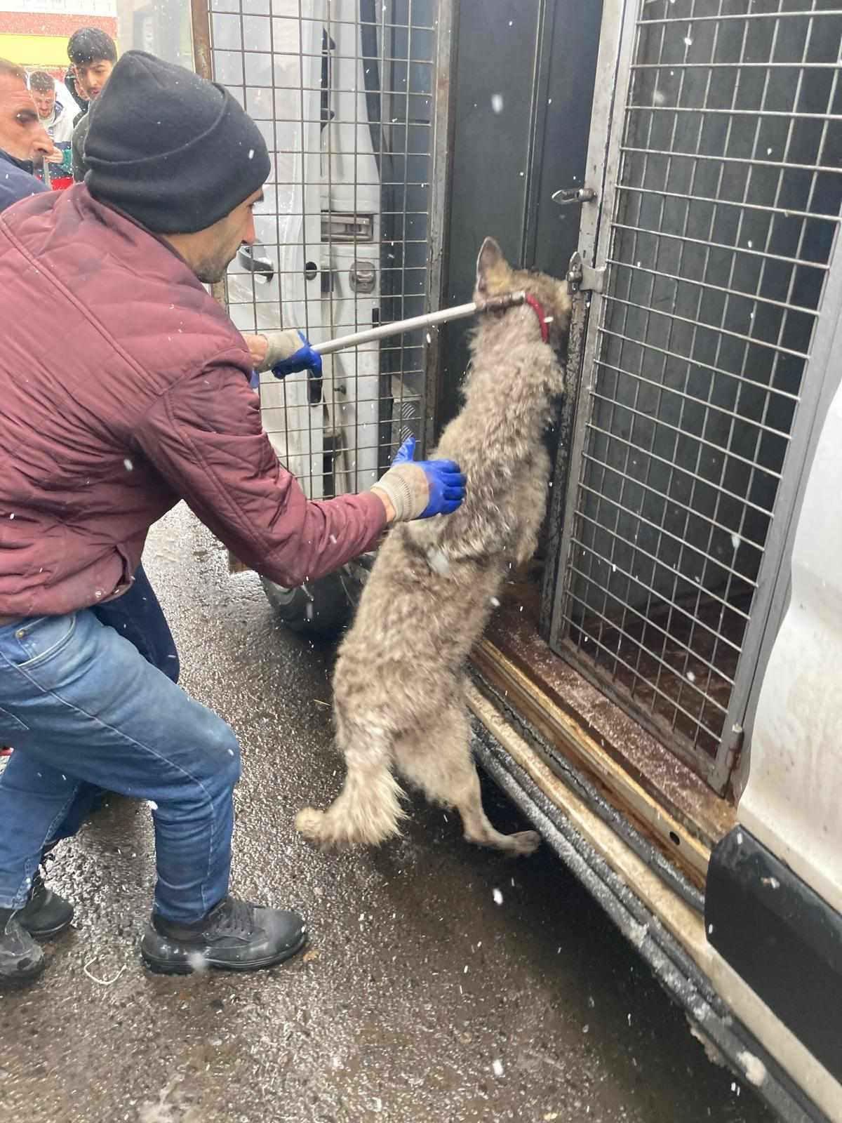 Panik yaşanan olayda kimsenin yaralanmadığı öğrenildi.