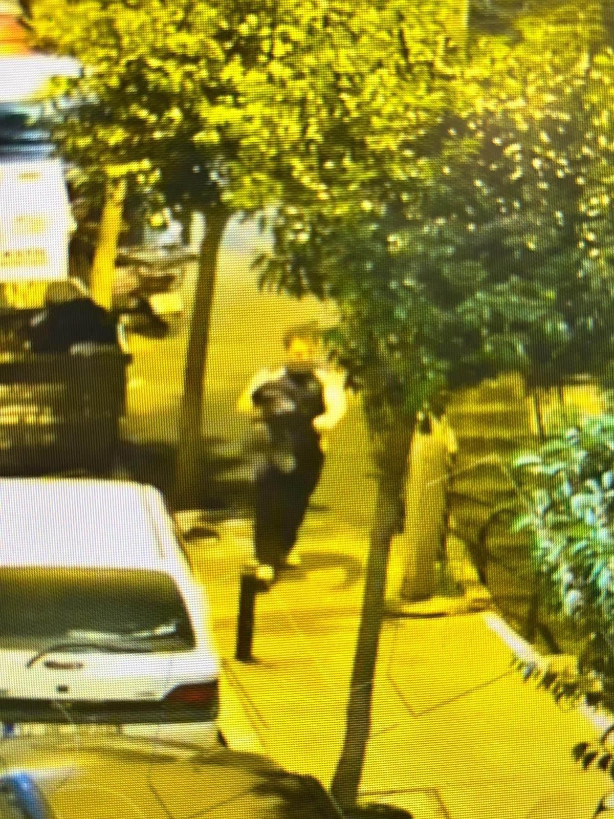 Deniz İbişler'in izlediği rota güvenlik kameralarına yansıdı.