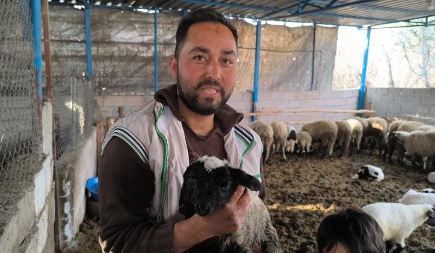 2 kafası, 4 g&ouml;z&uuml; var! Besici g&ouml;rd&uuml;ğ&uuml; karşısında şok oldu