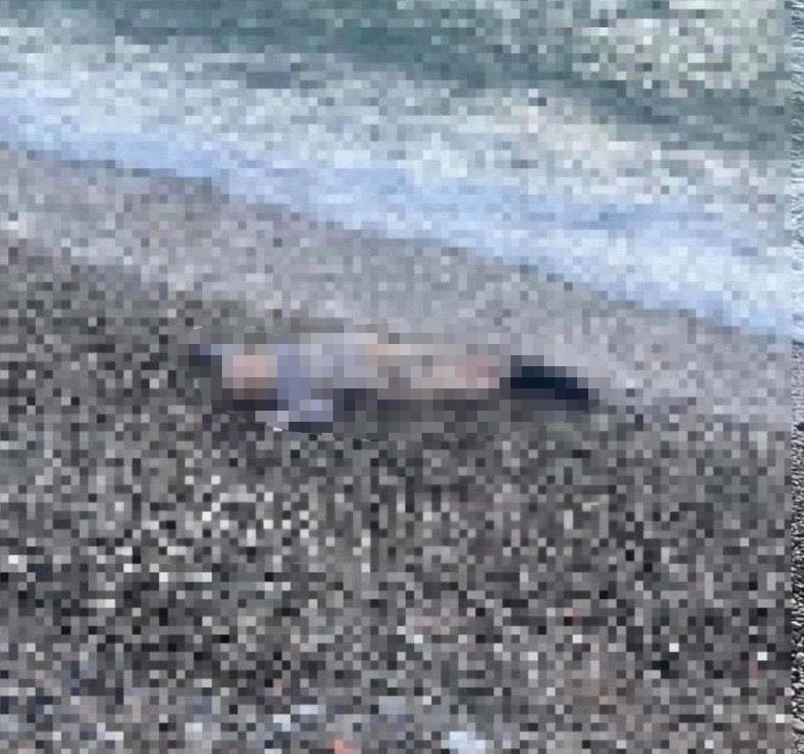 Kıyıya vuran çocuk cesedi. 