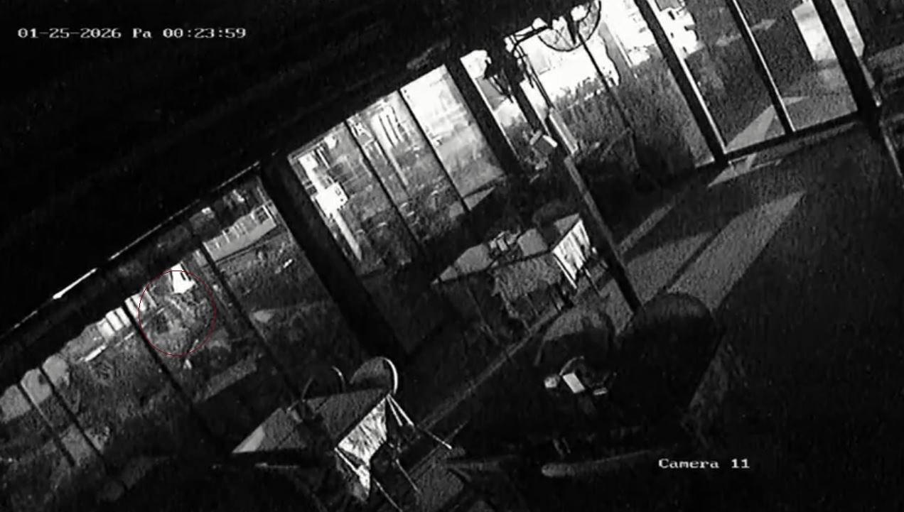 İbişler'in denize atladığı anlar güvenlik kameralarına yansıdı.