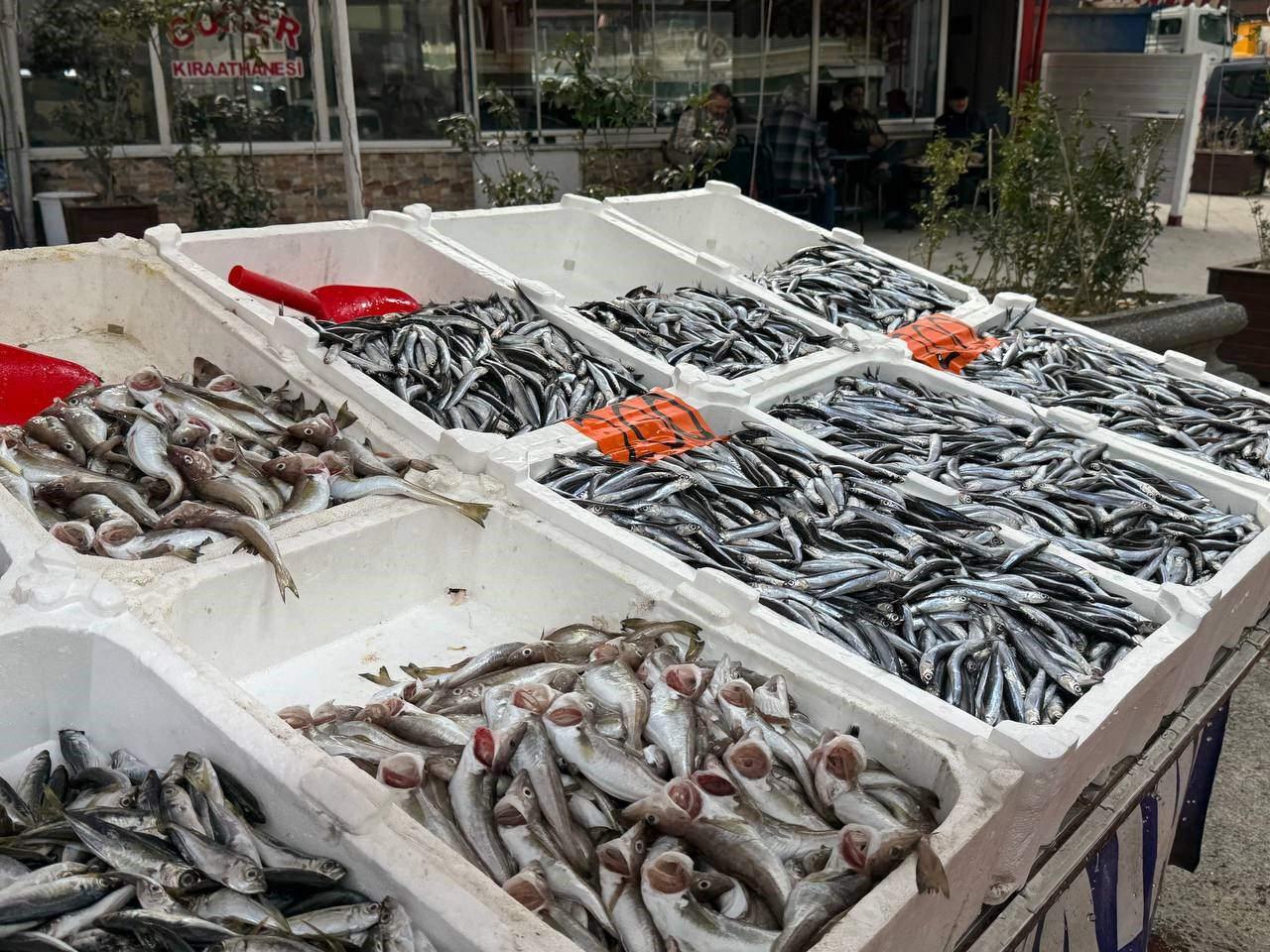 Tezgahlarda hamsi dönemi başladı