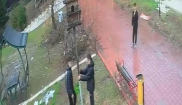 Bunu neden yaptınız? Parktaki kuş yuvasını par&ccedil;aladılar