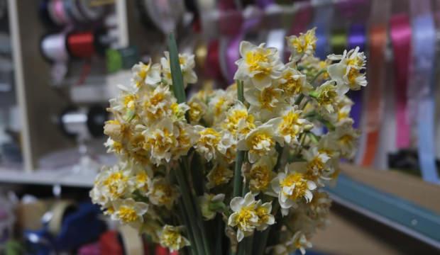 '&Ccedil;i&ccedil;eklerin annesi' nergis b&uuml;y&uuml;k ilgi g&ouml;r&uuml;yor