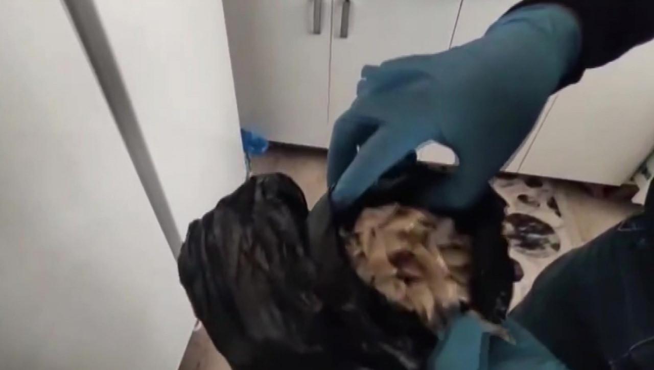 Operasyondan kareler