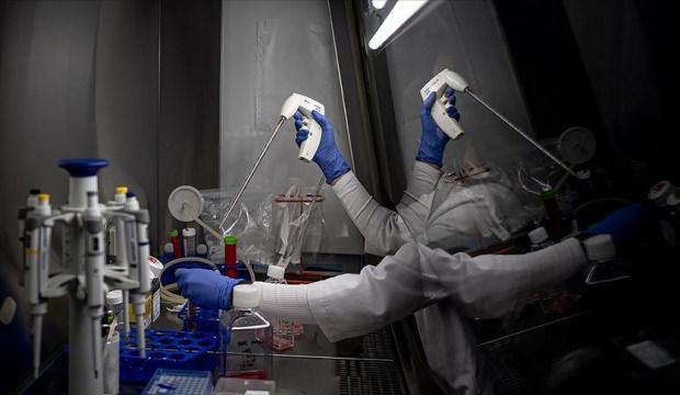 Kanser raporunda &ccedil;arpıcı sonu&ccedil;! Vakaların şifreleri &ccedil;&ouml;z&uuml;ld&uuml;