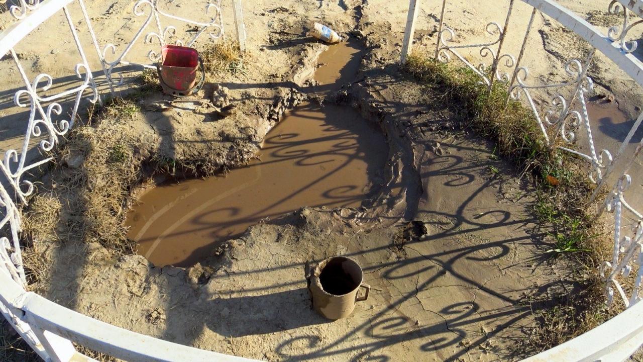 Yağlı çamurun egzama ve sedef türü hastalıklara iyi geldiği söyleniyor.