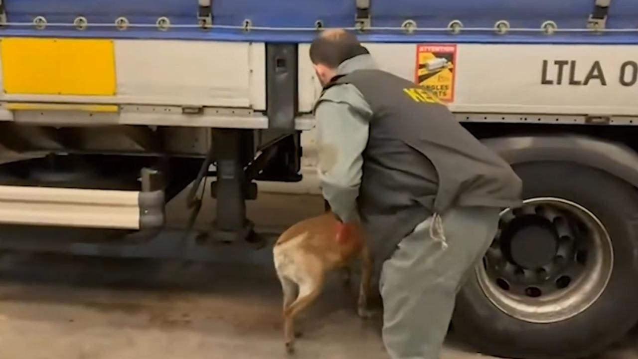 Operasyona ilişkin görüntüler.